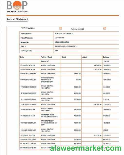 Pakistan Bank of Punjab account statement Word and PDF template